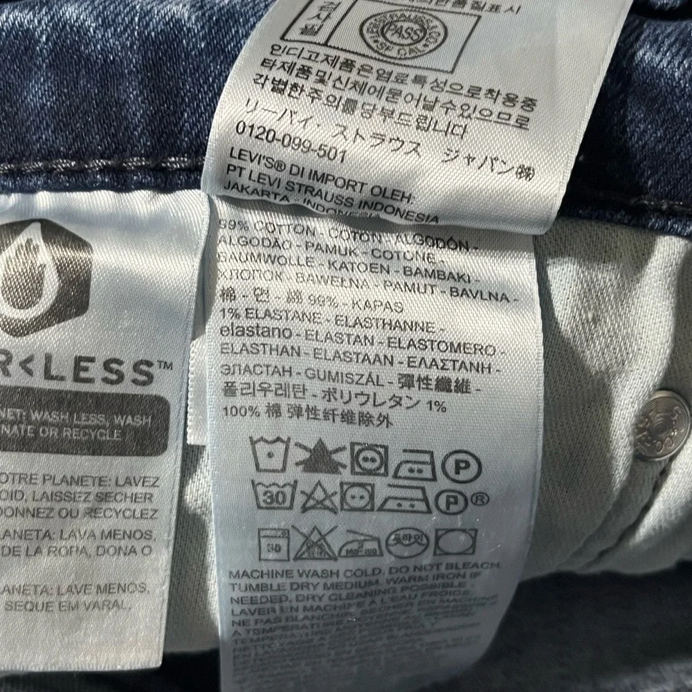 Levis levis 513